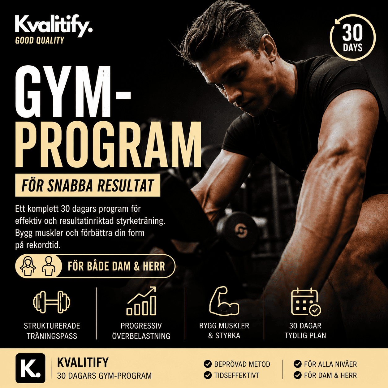 Program dam/herr för gym - Bygg muskler snabbt